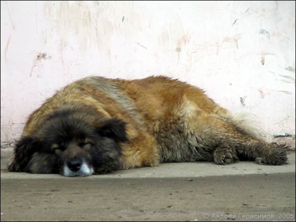 «Всячина» в отпуске