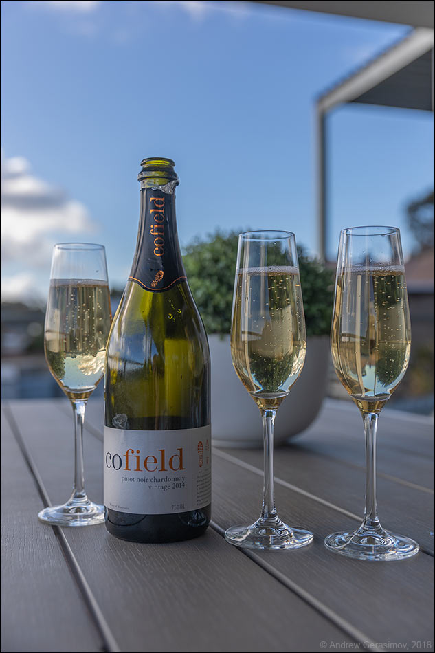 ������������� ����