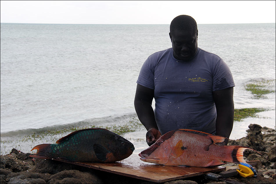 Багамский рыбак