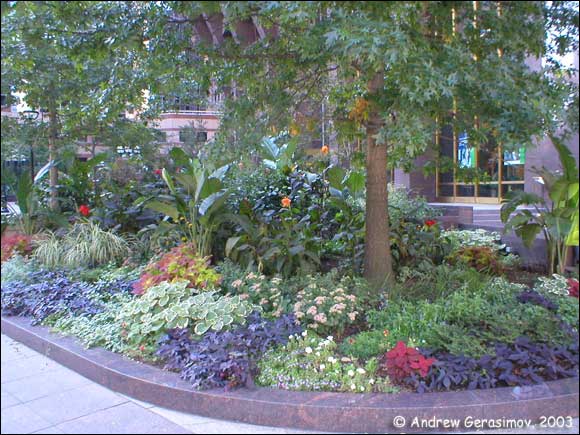 ������ �������