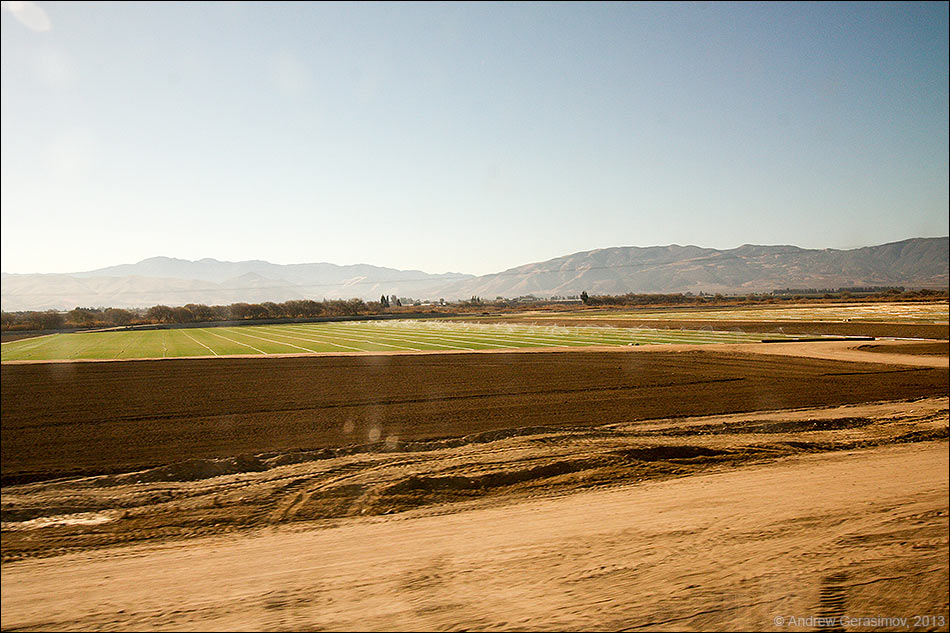 Калифорнийские поля