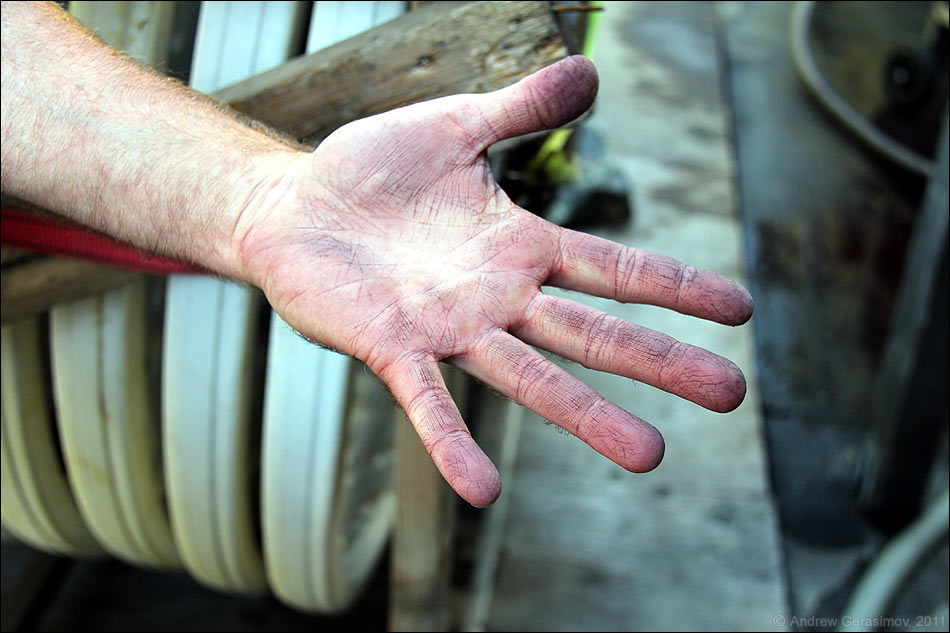 ���� ��������