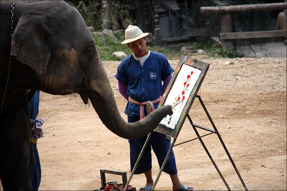 Слоновое искусство
