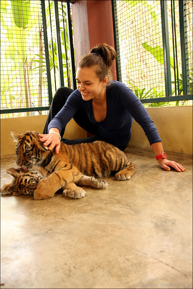 �������