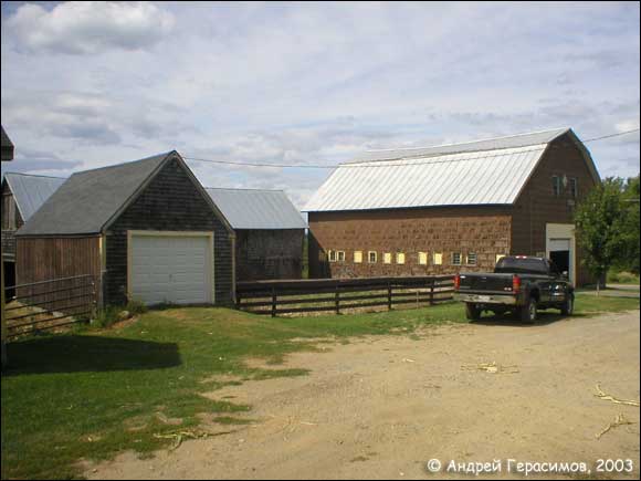 ����� ����