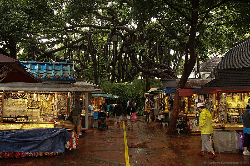 ����������������� ����� �������