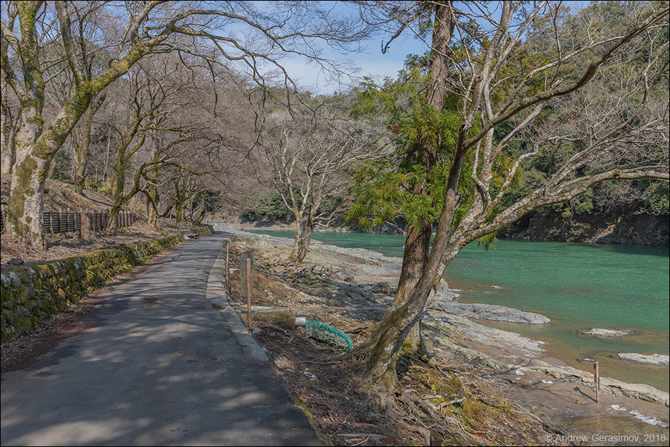 Река Кацурагава