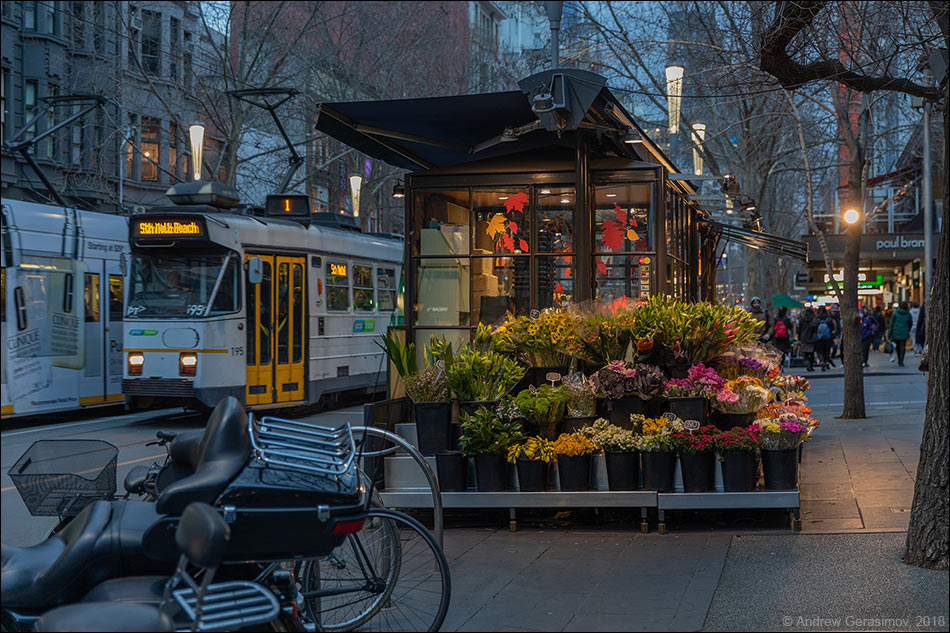 Цветочный магазин в Мельбурне