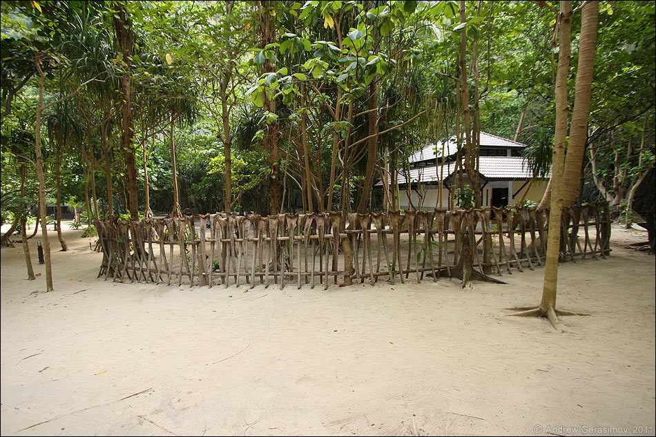 Забор из пальмовой коры