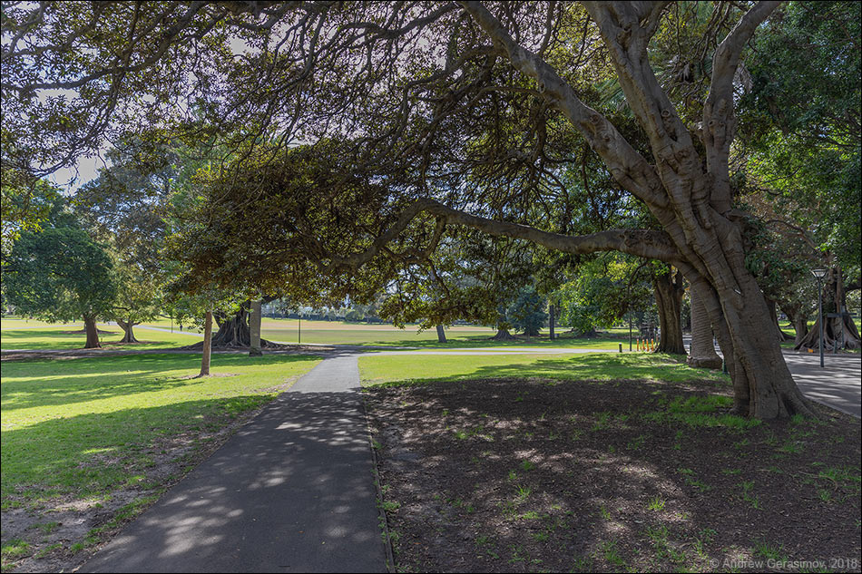 Парк «Домен» в Сиднее