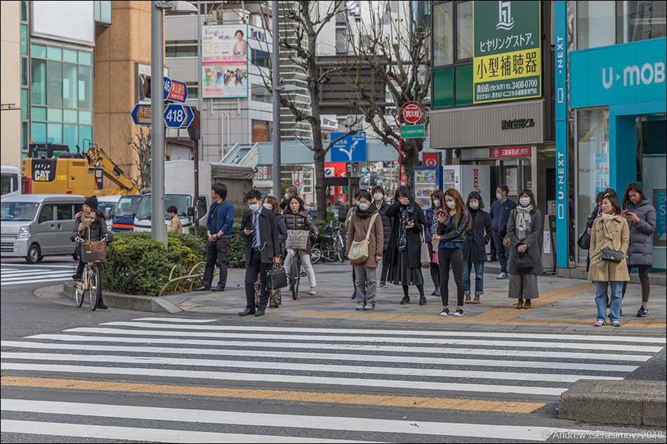 Японские пешеходы