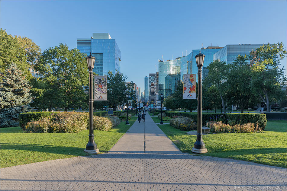 Университетский проспект Торонто