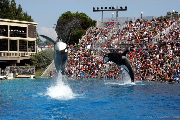 ������� ���