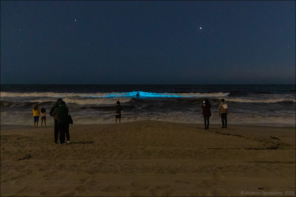 Биолюминесцентные волны в Лос-Анджелесе